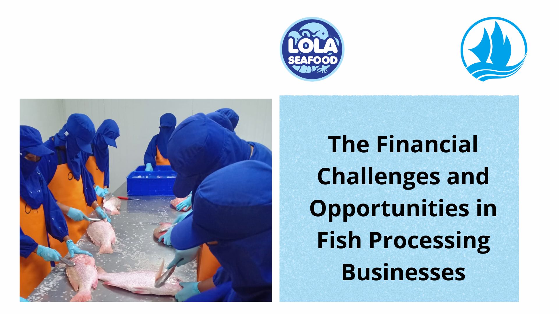 The Financial Challenges and Opportunities in Fish Processing Businesses						